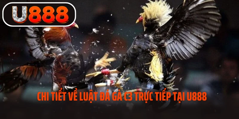 Luật đá gà c3 bạn cần phải biết