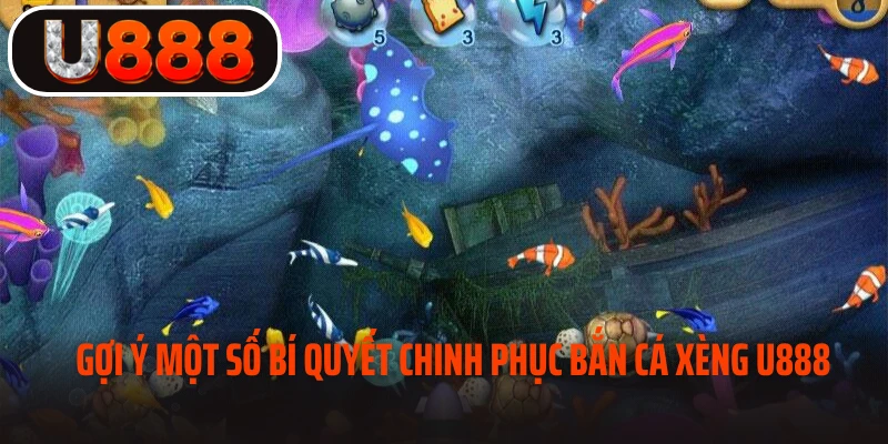Những mẹo do cao thủ tại U888 chia sẻ